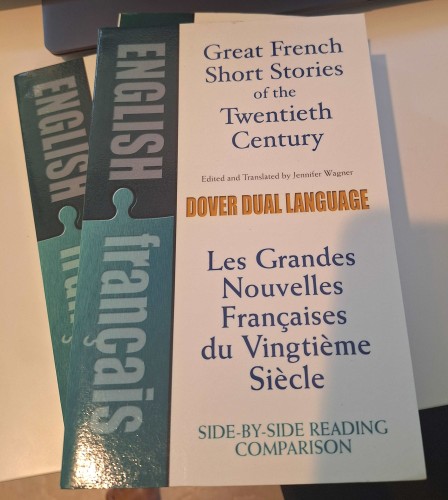 Great French Short Stories of the Twentieth Century: A Dual-Language Book