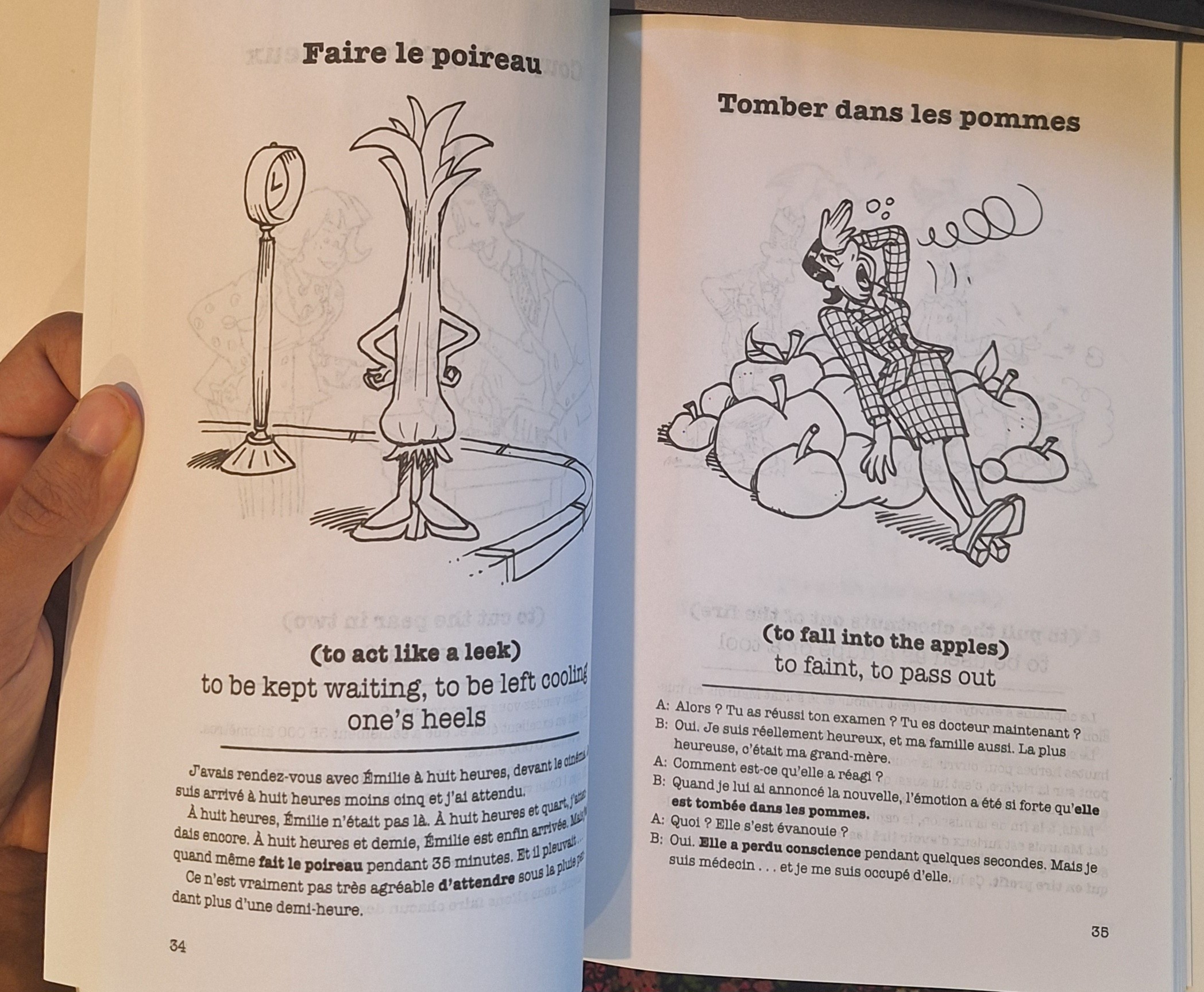 101 French Idioms